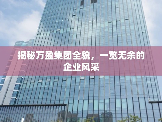 揭秘万盈集团全貌，一览无余的企业风采