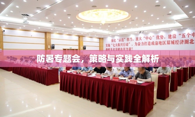 防暑专题会，策略与实践全解析