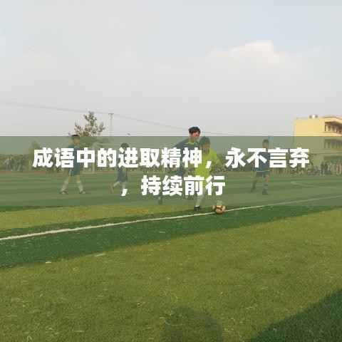 成语中的进取精神,永不言弃,持续前行
