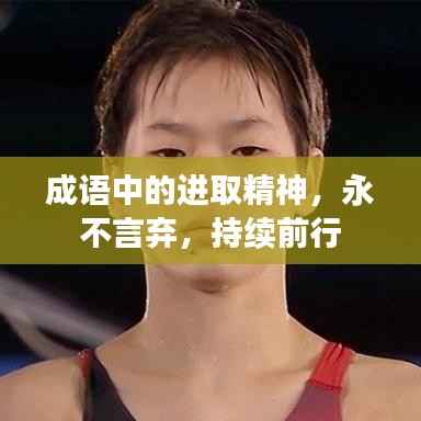 成语中的进取精神,永不言弃,持续前行