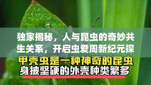 独家揭秘，人与昆虫的奇妙共生关系，开启虫爱周新纪元探索之旅
