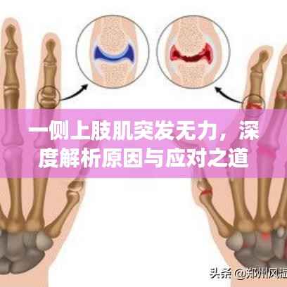 衣不完采 第3页