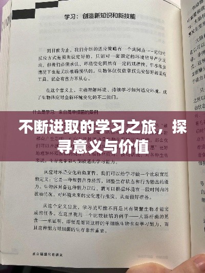 不断进取的学习之旅，探寻意义与价值
