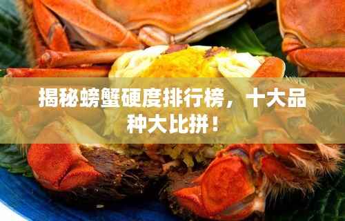 揭秘螃蟹硬度排行榜，十大品种大比拼！