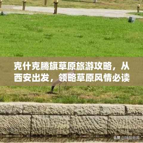 克什克腾旗草原旅游攻略，从西安出发，领略草原风情必读指南