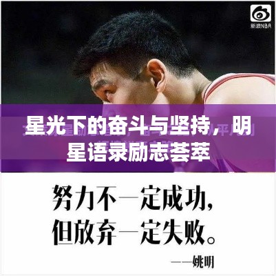 星光下的奋斗与坚持，明星语录励志荟萃