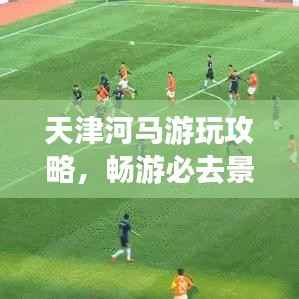 天津河马游玩攻略，畅游必去景点，体验精彩之旅！