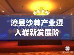 漳县沙棘产业迈入崭新发展阶段，发展繁荣的新篇章