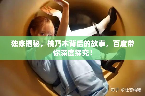 独家揭秘，桃乃木背后的故事，百度带你深度探究！