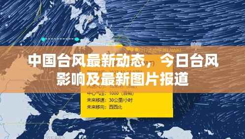 中国台风最新动态,今日台风影响及最新图片报道