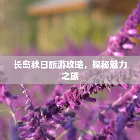 长岛秋日旅游攻略，探秘魅力之旅