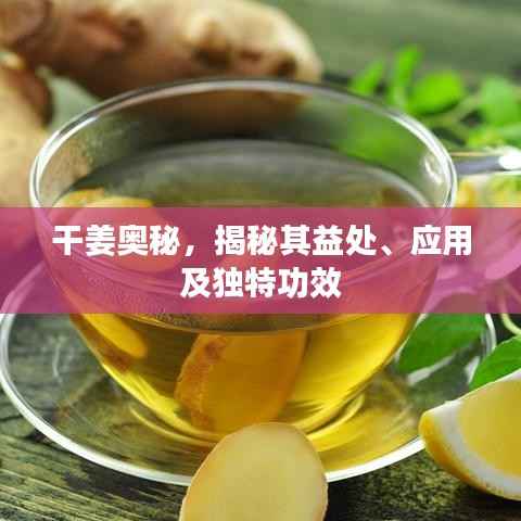干姜奥秘，揭秘其益处、应用及独特功效