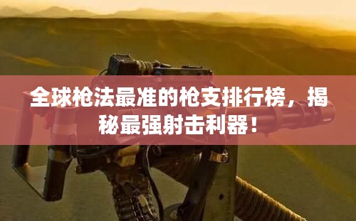 全球枪法最准的枪支排行榜，揭秘最强射击利器！