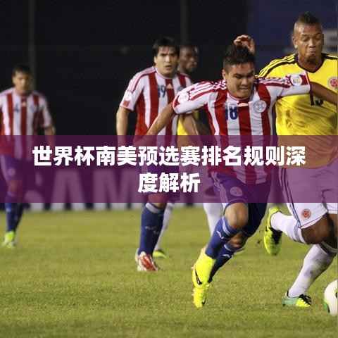 世界杯南美预选赛排名规则深度解析