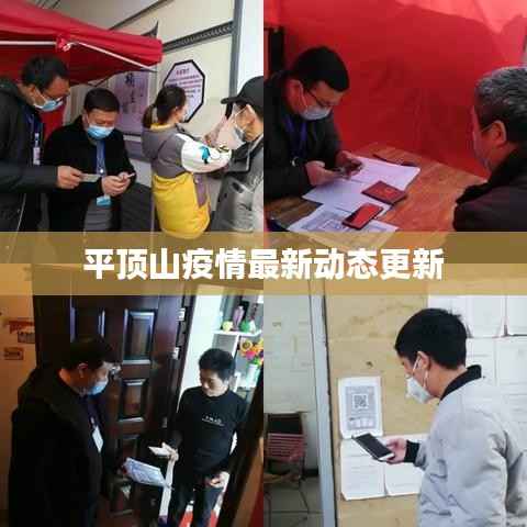 平顶山疫情最新动态更新