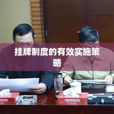挂牌制度的有效实施策略