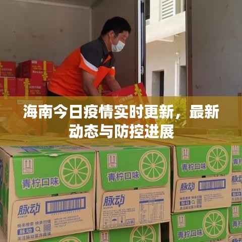 海南今日疫情实时更新,最新动态与防控进展