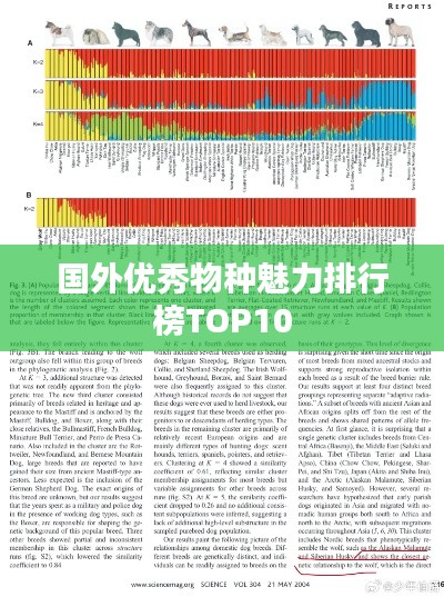 国外优秀物种魅力排行榜TOP10