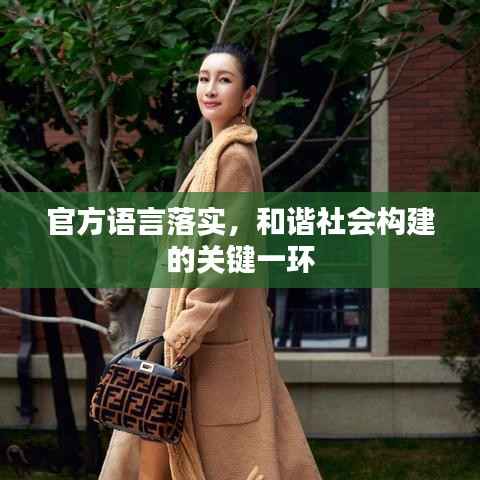 官方语言落实，和谐社会构建的关键一环