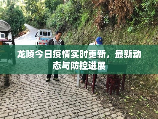 龙陵今日疫情实时更新,最新动态与防控进展