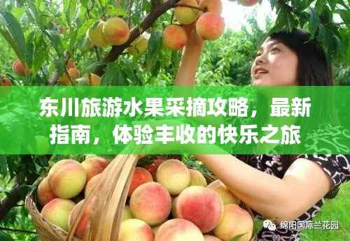 东川旅游水果采摘攻略，最新指南，体验丰收的快乐之旅