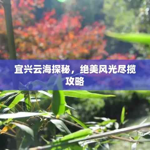 宜兴云海探秘，绝美风光尽揽攻略