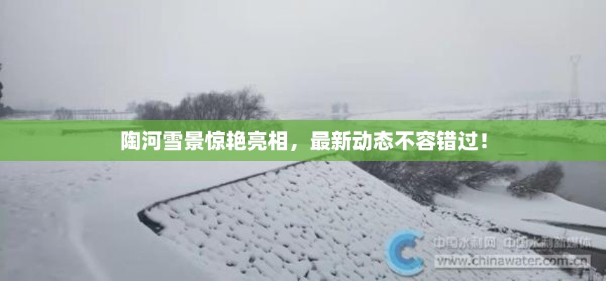 陶河雪景惊艳亮相，最新动态不容错过！