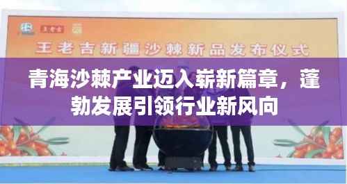 青海沙棘产业迈入崭新篇章，蓬勃发展引领行业新风向