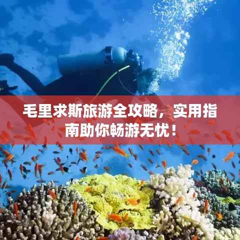 毛里求斯旅游全攻略，实用指南助你畅游无忧！