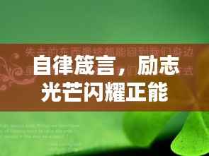 自律箴言，励志光芒闪耀正能量