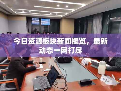 今日资源板块新闻概览，最新动态一网打尽