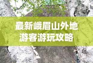 最新峨眉山外地游客游玩攻略