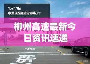 绝代佳人 第4页