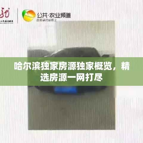 哈尔滨独家房源独家概览，精选房源一网打尽