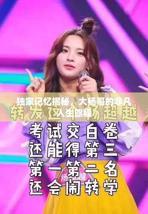 独家记忆揭秘，大杨哥的非凡人生旅程