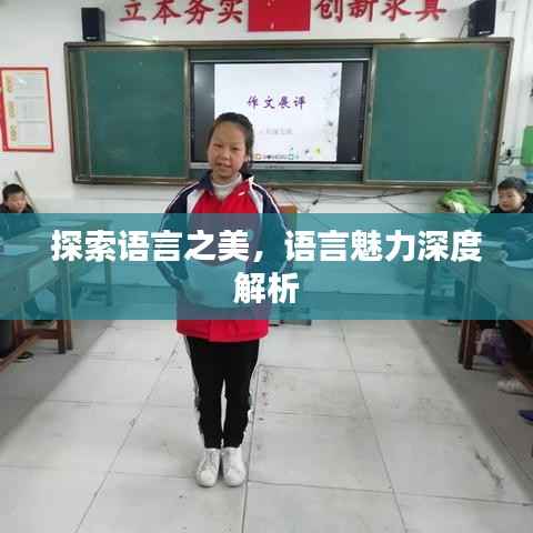 探索语言之美，语言魅力深度解析