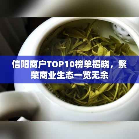 信阳商户TOP10榜单揭晓，繁荣商业生态一览无余