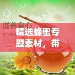 精选蜂蜜专题素材,带你领略甜蜜魅力!