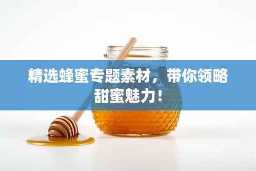 精选蜂蜜专题素材,带你领略甜蜜魅力!