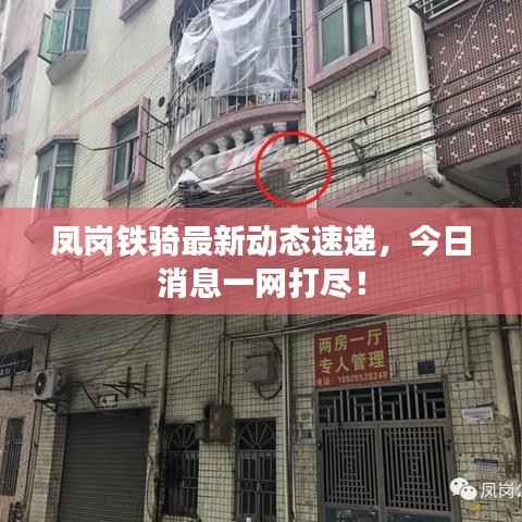 凤岗铁骑最新动态速递，今日消息一网打尽！