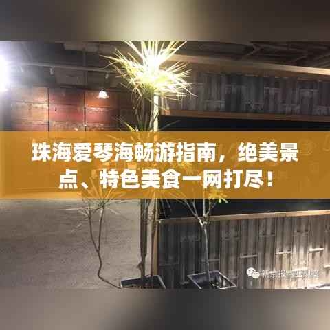 兵贵神速 第3页