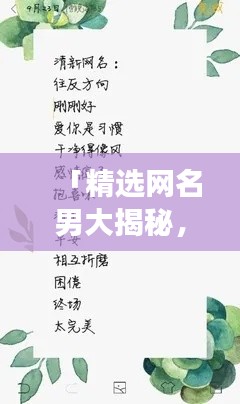 「精选网名男大揭秘，探寻个性之名的精彩旅程」