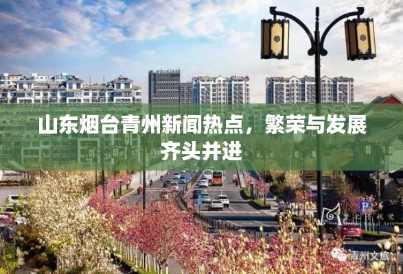 山东烟台青州新闻热点，繁荣与发展齐头并进