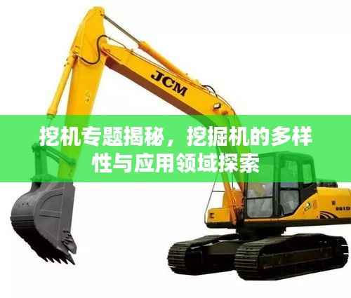 挖机专题揭秘，挖掘机的多样性与应用领域探索