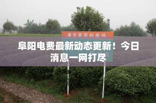 阜阳电费最新动态更新！今日消息一网打尽