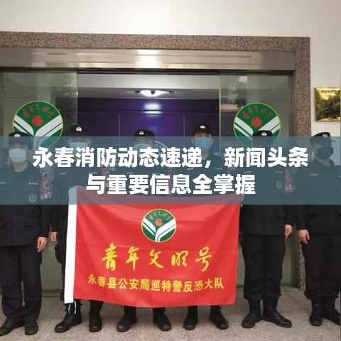 永春消防动态速递，新闻头条与重要信息全掌握