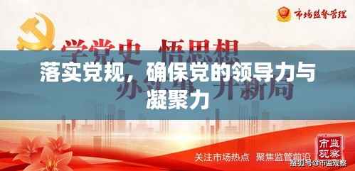 落实党规，确保党的领导力与凝聚力