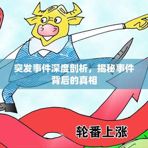 突发事件深度剖析，揭秘事件背后的真相