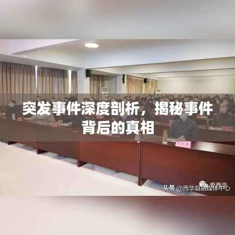 突发事件深度剖析,揭秘事件背后的真相