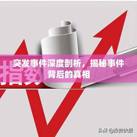 突发事件深度剖析,揭秘事件背后的真相